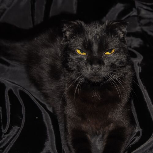Photo #9647473