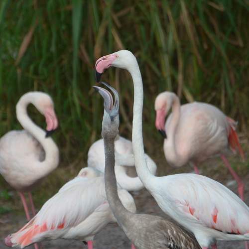Photo #9647727