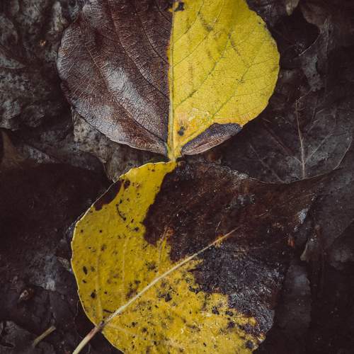 Photo #9647761