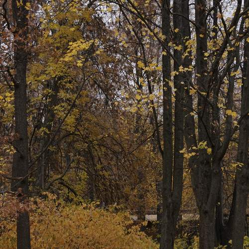 Photo #9647770