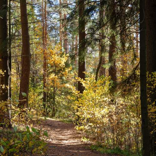 Photo #9647781