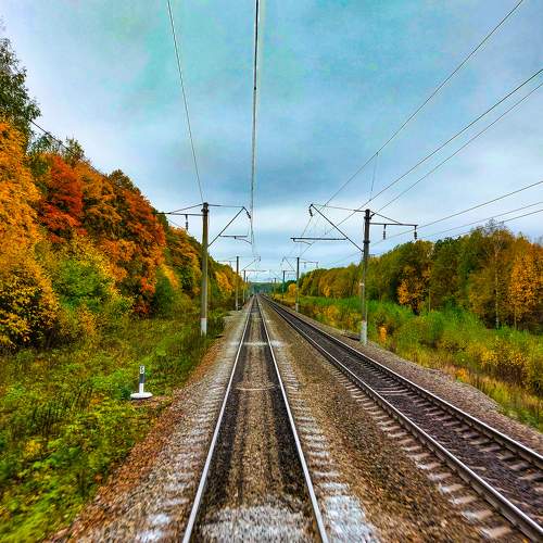 Photo #9647830