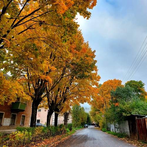 Photo #9647854