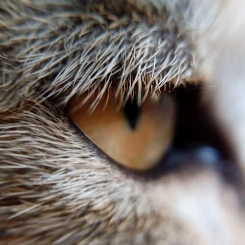 Photo #9647861