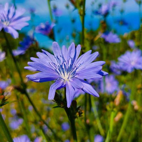 Photo #9647864