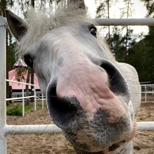 Photo #9647949