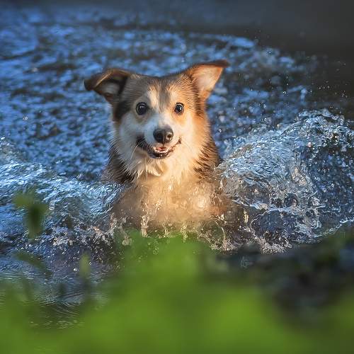 Photo #9647963