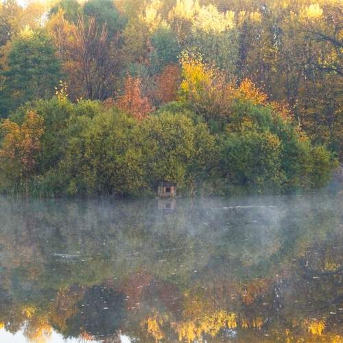 Фотография #9648397