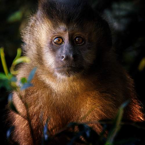 Photo #9648415