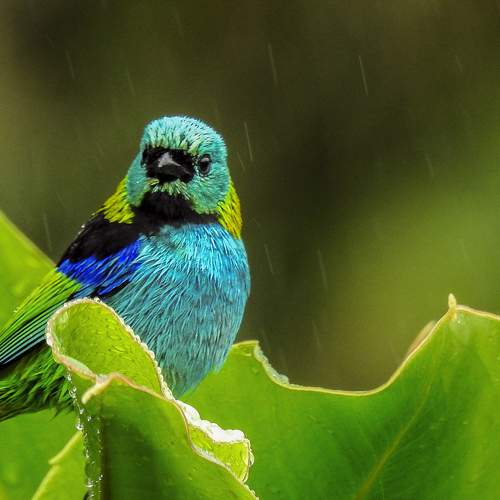 Photo #9648423