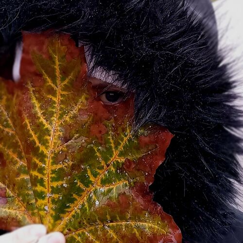 Photo #9648750