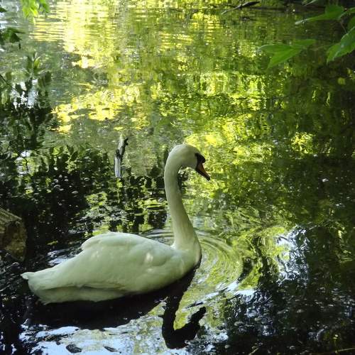 Photo #9648833