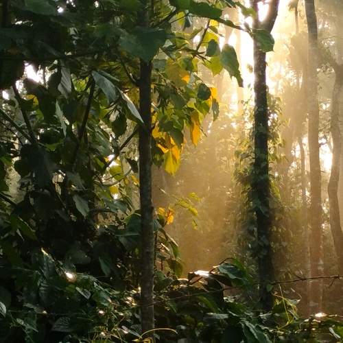 Photo #9649002