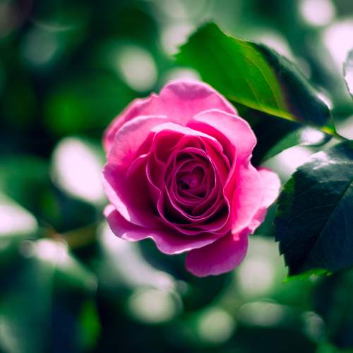 Photo #9649344