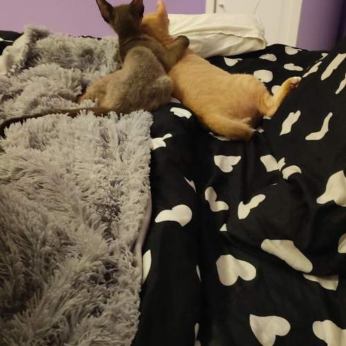 Photo #9649796