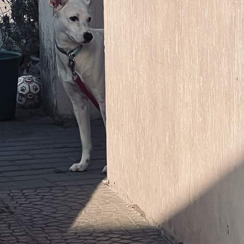 Photo #9649804