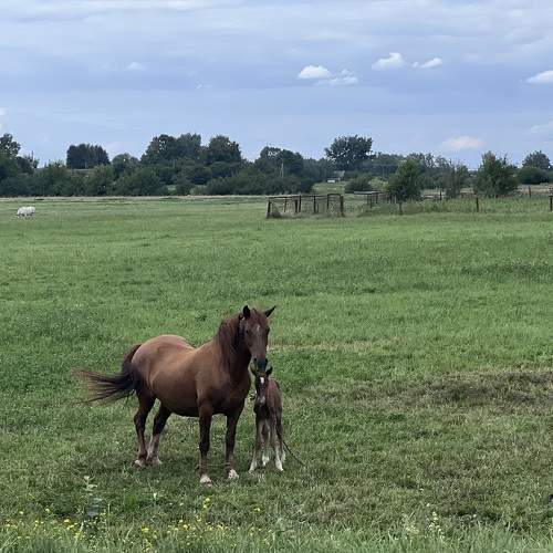 Photo #9649805