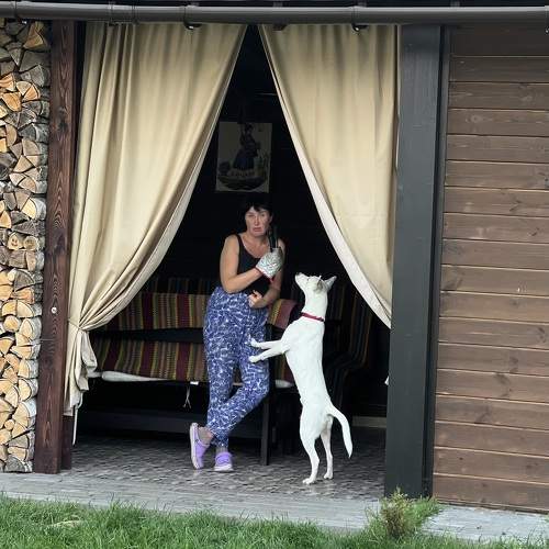 Photo #9649806