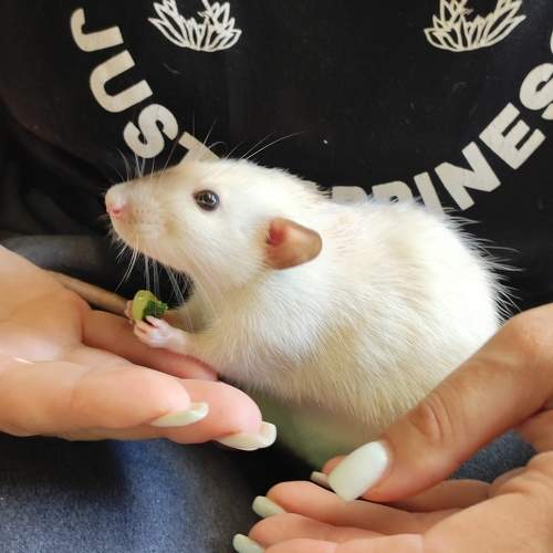 Photo #9649807