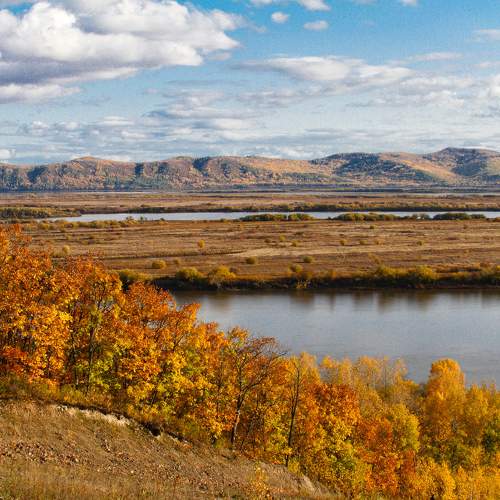 Photo #9649840
