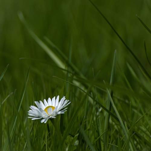Фотография #9649927