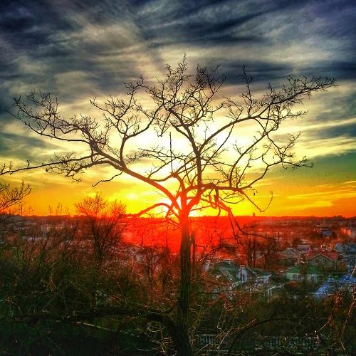 Evening