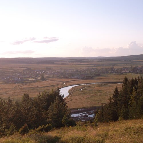 Photo #965802
