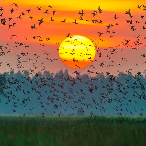 Sun set