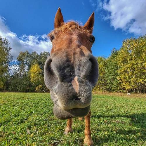 Photo #9650076