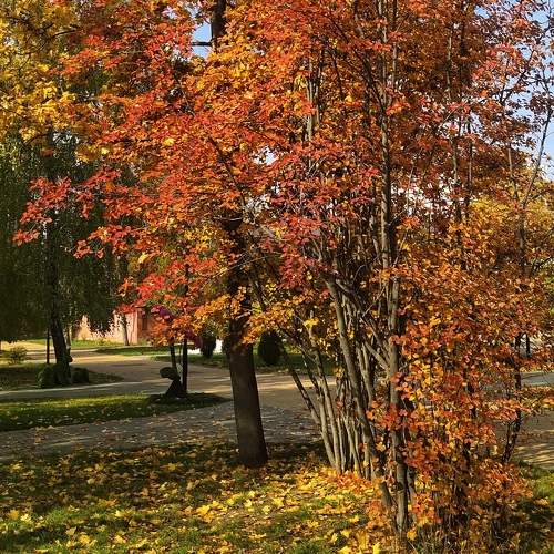 Photo #9650163