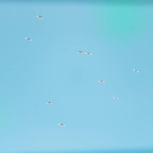 Photo #9650652