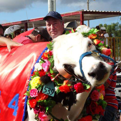 Photo #9650866