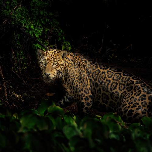 Photo #9650907