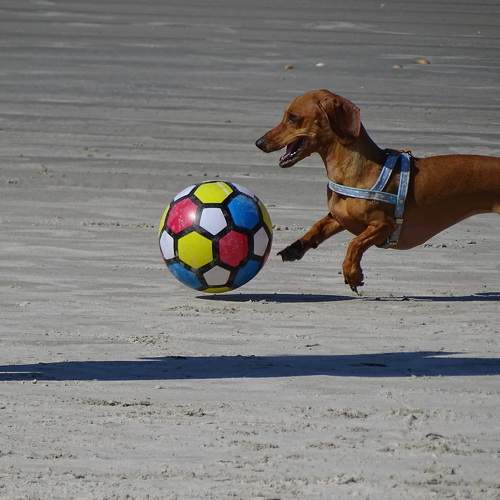 Photo #9650952