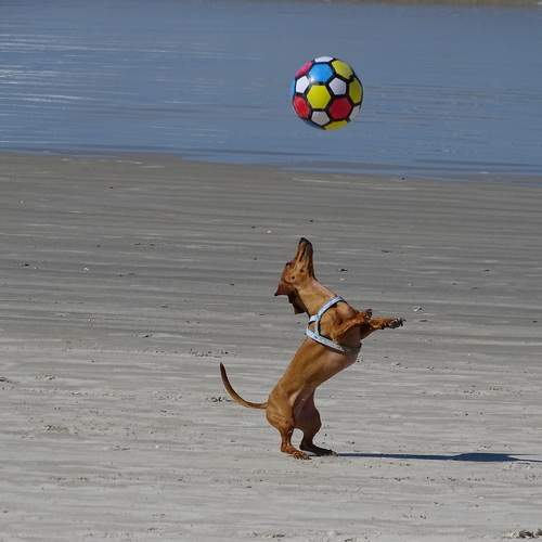 Photo #9650953