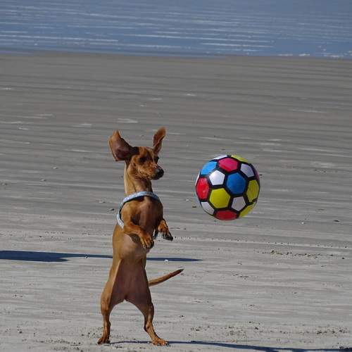 Photo #9650954
