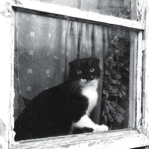 Photo #9650959