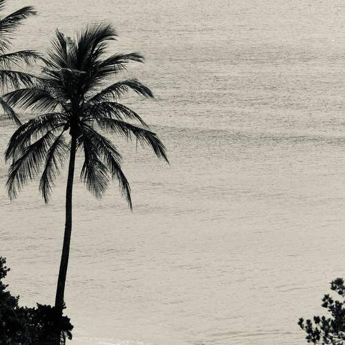 Photo #9651040