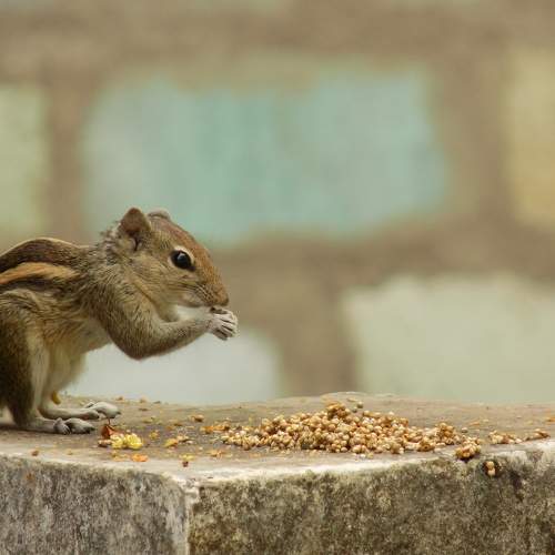 Photo #9651052