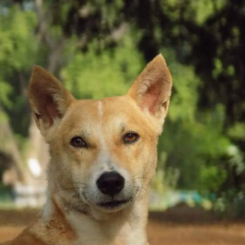 Photo #9651060