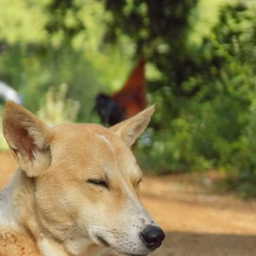 Photo #9651067