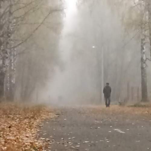 Photo #9651104