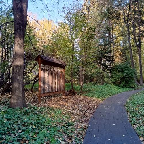 Photo #9651189