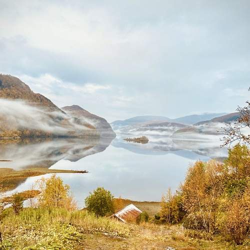 Photo #9651361