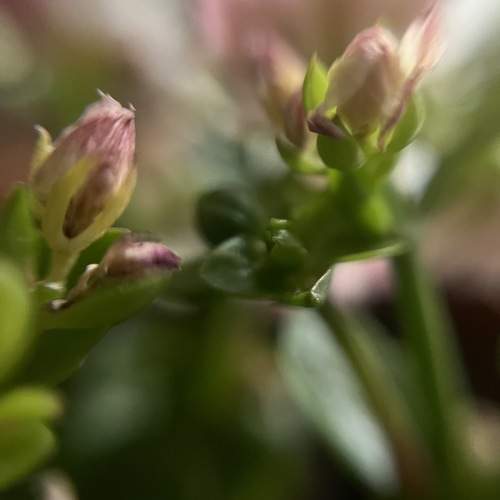 Photo #9651607
