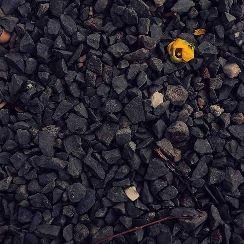 Photo #9651677