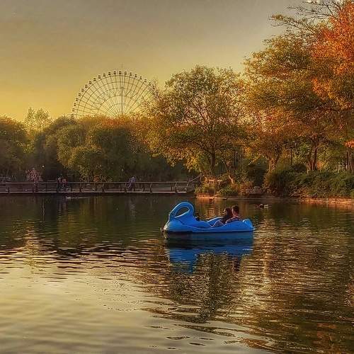 Photo #9651713