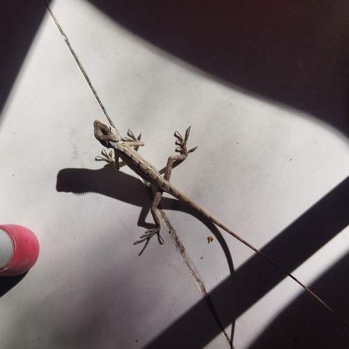 Photo #9651767
