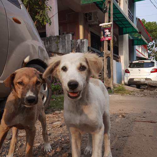 Photo #9651963