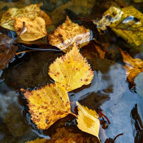 Photo #9652089